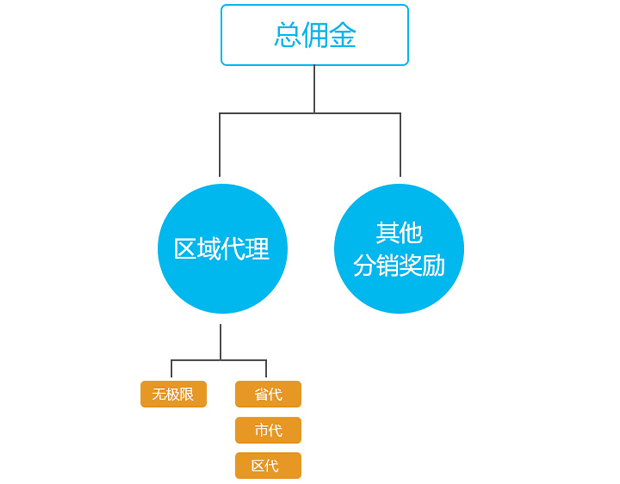 区域代理等级制度